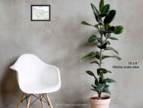 'strava-art' print framed